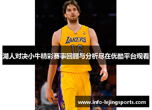 湖人对决小牛精彩赛事回顾与分析尽在优酷平台观看